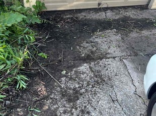 Cleanups by Tyree C Jackson for Mel S. in Cincinnati, OH