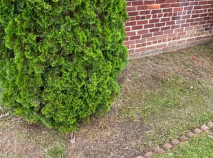 Leaf Removal by Norman Blanchard for Sanders R. in Temple Hills, MD