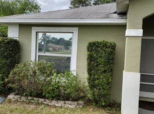 Bush Trimming by Devon walcott for Travis L. in Port St. Lucie, FL