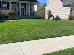 Jason P.'s Lawn Mowing service result