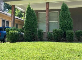 Bush Trimming by Cordarius Bush for Keesa M. in Memphis, TN