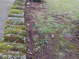 Cleanups by Brandon Hill for Rose S. in Portland, OR