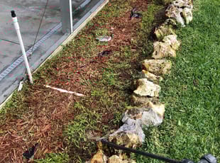 Weeding by Alex Arvizu for Jimmie F. in Lake Mary, FL