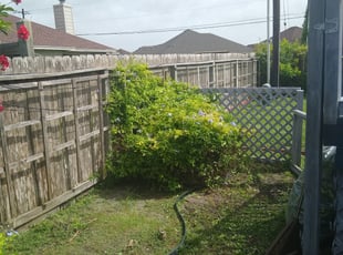 Bush Trimming by John Delacruz for Ebony G. in Corpus Christi, TX