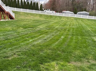 Cleanups by Andrew Paul for Vijay V. in Cromwell, CT
