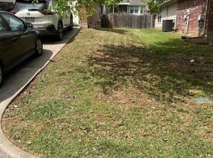 Leaf Removal by Gerardo Marroquin for Jennifer M. in Montgomery, TX