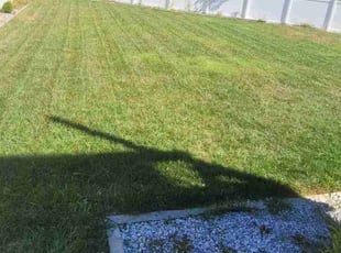Joe T.'s Lawn Maintenance service result