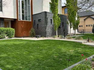 Kristine B.'s Lawn Mowing service result