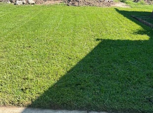 Staci O.'s Grass Cutting service result