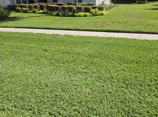 Mary D.'s Lawn Service service result