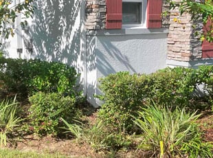 Bush Trimming by Gregory White for Hannah P. in Mount Plymouth, FL