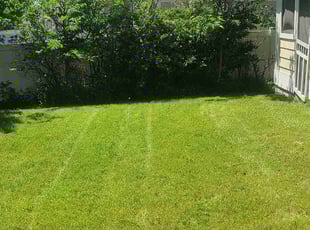 Karen B.'s Lawn Care service result