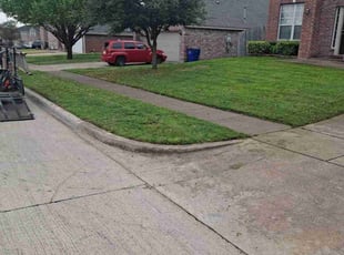 Shrita S.'s Yard Cutting service result