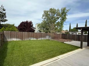 Anel F.'s Lawn Service service result