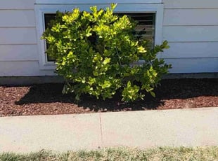 Landscaping by Brad DeVoe for Stephanie W. in Syracuse, UT