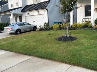 Carol B.'s Yard Cutting service result