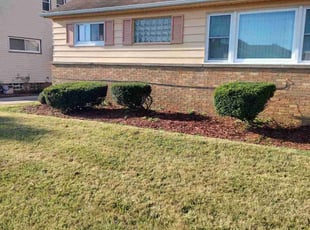 Bush Trimming by Anthony Coleman for Deairra B. in Maple Heights, OH