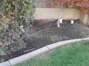 Cleanups by Angelic Griego for Mark J. in Clinton, UT