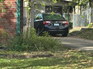 Steve S.'s Grass Cutting service result