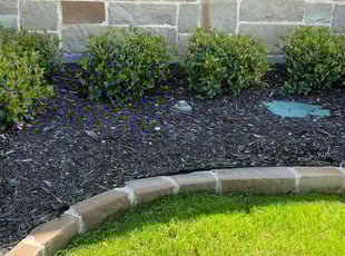 Weeding by Severa Rosie Lara for Laura F. in Euless, TX