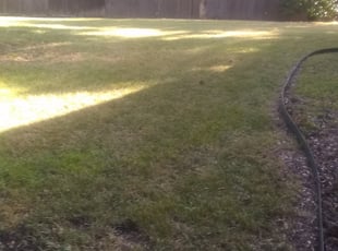 Landscaping by Rene Hernandez for Nicole C. in San Antonio, TX