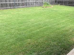 Tyler B.'s Lawn Care service result