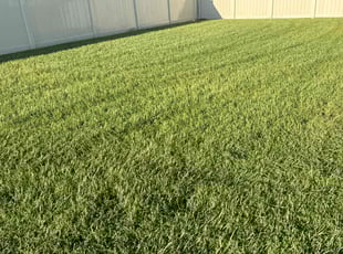 Chase M.'s Lawn Service service result