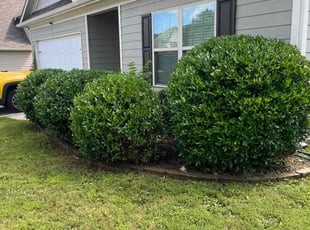 Azmir H.'s Landscaping service result