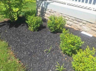 Weeding by Jimmy Craighead for Brandon M. in Owings Mills, MD