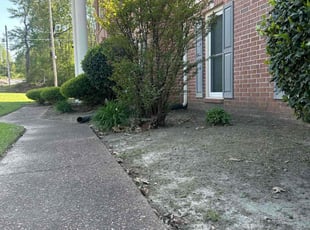 Weeding by Harley Meyer for Leo C. in Arlington, TN