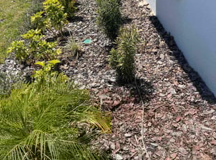 Weeding by Apolinar Bravo for Jensy R. in Eagle Lake, FL