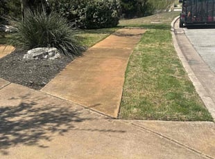 Leaf Removal by Yanela Rodriguez for Lauren B. in Leander, TX