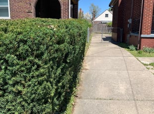 Bush Trimming by Jon Race for Tiana T. in Cincinnati, OH