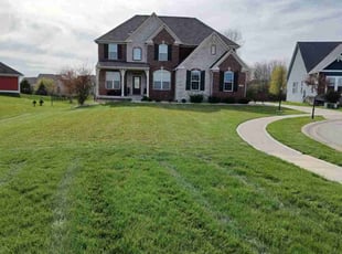 YUCI C.'s Lawn Care service result