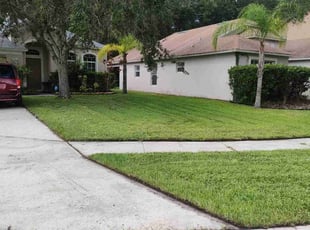 David S.'s Lawn Maintenance service result