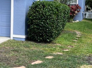 Bush Trimming by Johnny Torres for Tierra H. in Lithia, FL