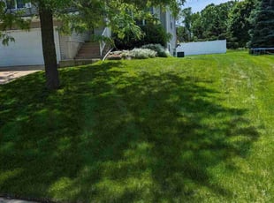 Lisa D.'s Lawn Maintenance service result
