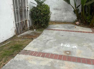 Bush Trimming by Fernando Gomez Rodriguez for Damon J. in Los Angeles, CA