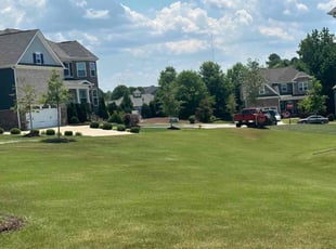 Goutham S.'s Lawn Care service result