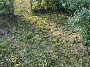 Cleanups by Henry Huonker for Lisa B. in Odessa, MO