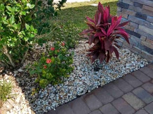 Weeding by Kenneth Mitchell for Maria S. in Parrish, FL