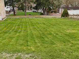 Susan H.'s Lawn Service service result
