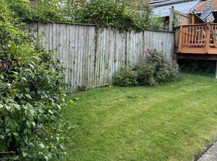 Bush Trimming by Travis Washington for Dianne E. in Baltimore, MD