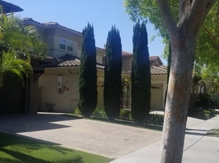 Bush Trimming by Orlando Miranda for June D. in Chula Vista, CA