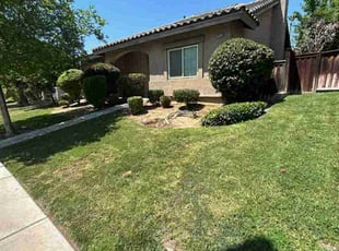 Bush Trimming by Edward Walsh for Veronica M. in Grand Terrace, CA