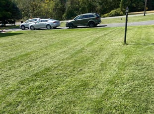 Stephen s.'s Lawn Mowing Service service result