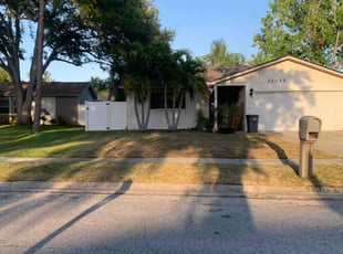 Leaf Removal by Rodell Edwards for Grace H. in Largo, FL