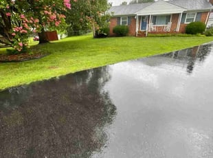 Christopher P.'s Yard Cutting service result
