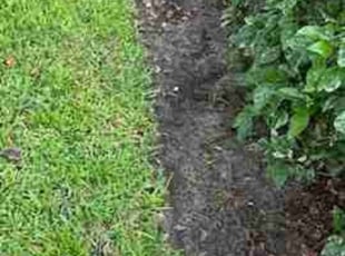 Weeding by MacNesha Sims for Sally B. in Windermere, FL