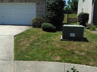 Bush Trimming by Adams Paiz for Kayona H. in Charlotte, NC